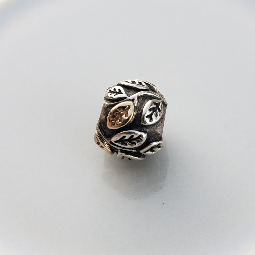 Pandora Charm